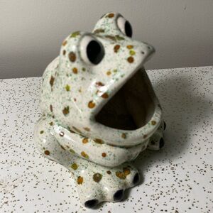 Vintage Scrubbie holder ceramic hand painted frog